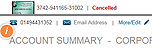 Account Summary