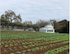 MOHI Ranch