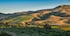 Donnachadh Family Wines