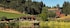 Dukes Family Vineyards