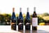 Bovino Vineyards