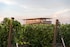 Rotie Cellars, House of Bones, and Proper Wines