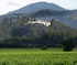 Sterling Vineyards