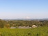 Hawks View Winery