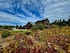 Comstock Wines