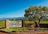 Charles Krug Winery