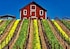 Optima Winery