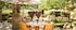 Cliff Lede Vineyards