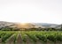 Clos du Val