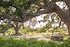 Grassini Family Vineyards - Santa Ynez Estate
