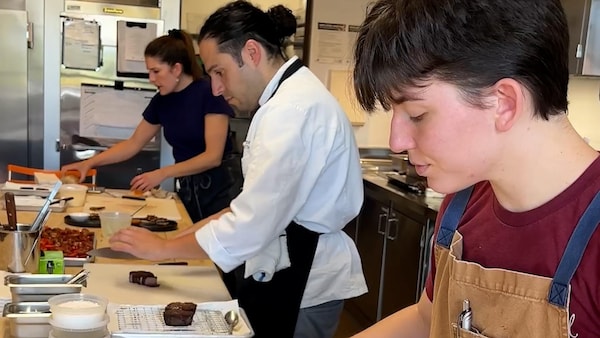 cook, kitchen, chef, countertop, cooking, job