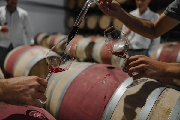 alcoholic drink, barrel, winery, bottle, wine, alcohol