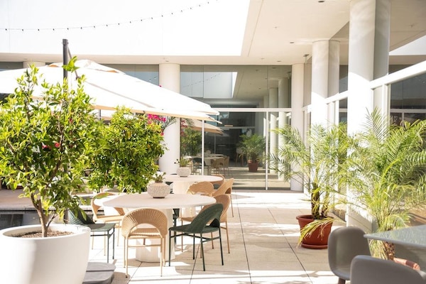furniture, chair, table, restaurant, outdoor furniture, houseplant