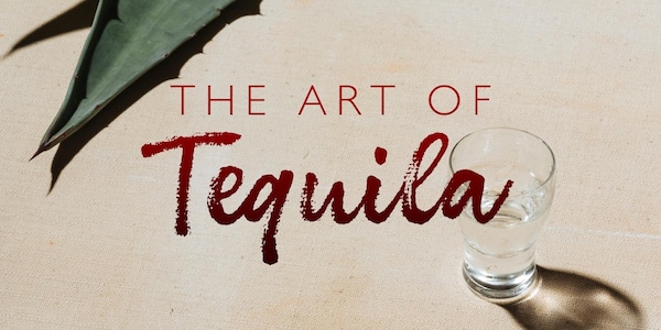 bottle, liquor, still life photography