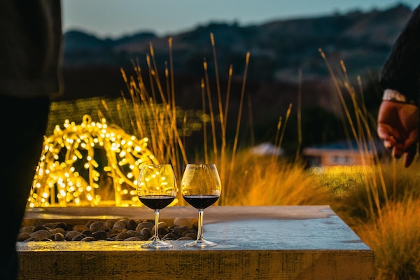 sky, water, tableware, stemware, drinkware, plant