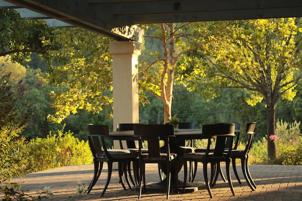 nature, leaf, property, furniture, tree, yellow