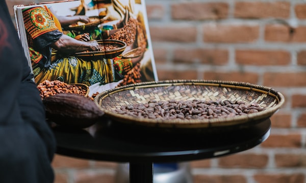 ingredient, produce, food, nuts & seeds, seed, cocoa bean