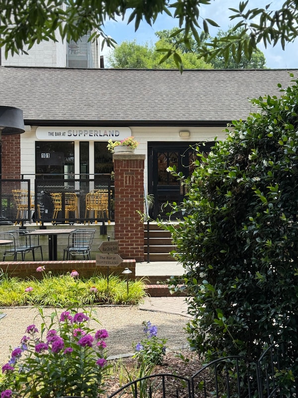 shrub, door, brick, yard, garden, shade