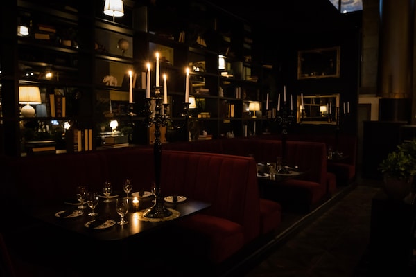 table, tableware, plant, drinking establishment, barware, drinkware