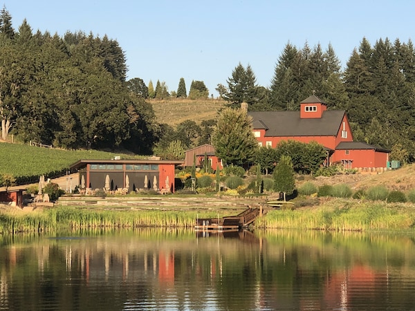cottage, estate, farm, pond, wetland, farmhouse