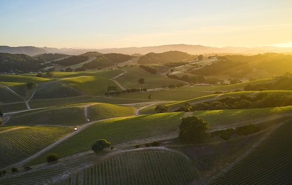 natural landscape, hill, highland, agriculture, field, plantation