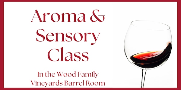 drinkware, tableware, stemware, alcoholic drink, wine, dessert wine