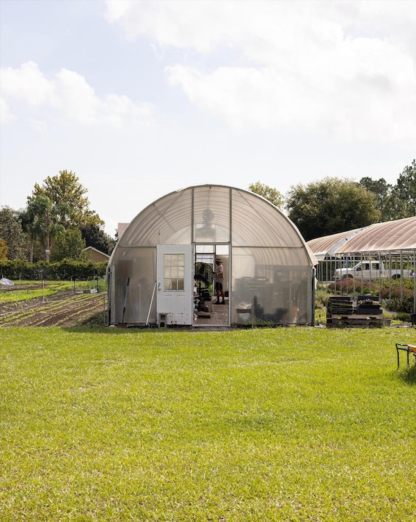 greenhouse, dome, shade, garden, daylighting, dome