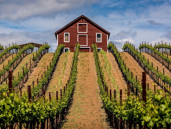 agriculture, house, plantation, rural area, field, land lot