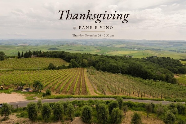 agriculture, plantation, field, vineyard, crop, farm