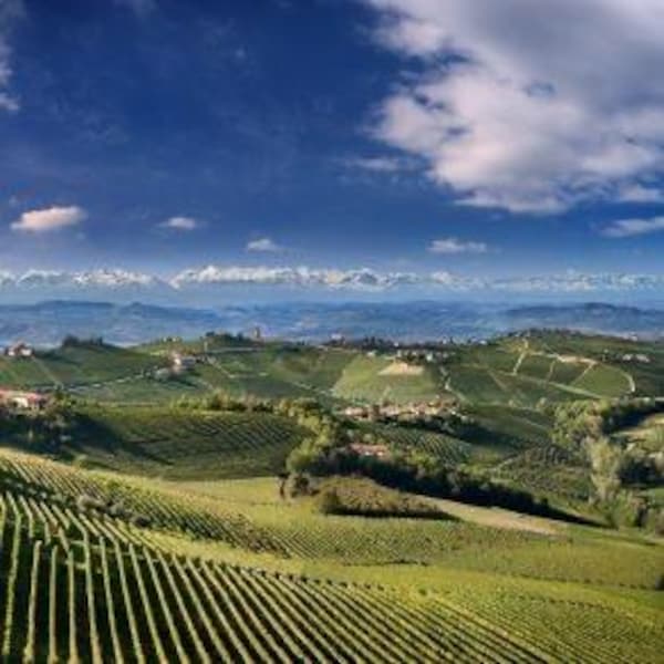 hill, highland, field, agriculture, plantation, landscape