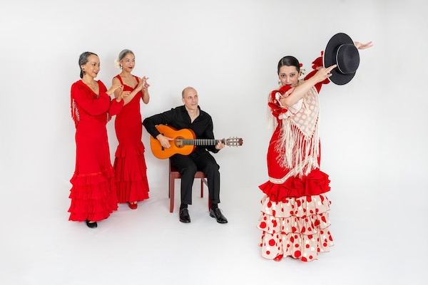 performing arts, entertainment, chordophone, musical instrument, dance, performance