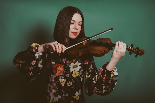 chordophone, string instrument, violin family, violinist, fiddle, musical instrument