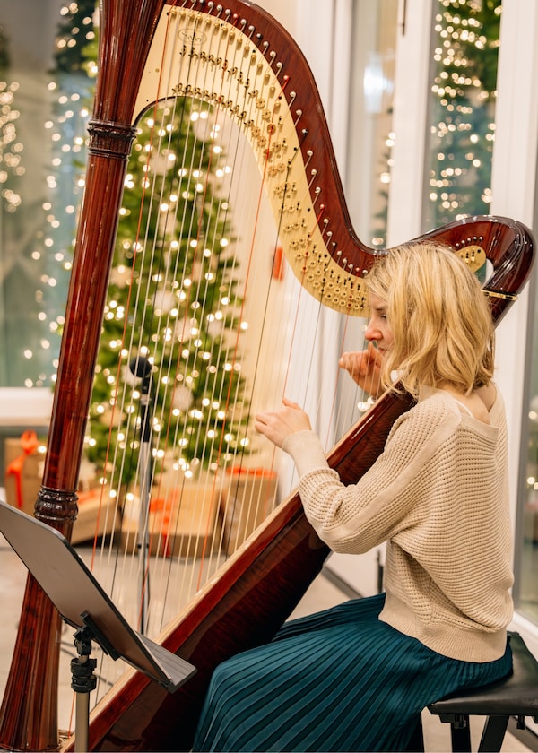 chordophone, harp, musical instrument, musician, string instrument, plucked string instrument