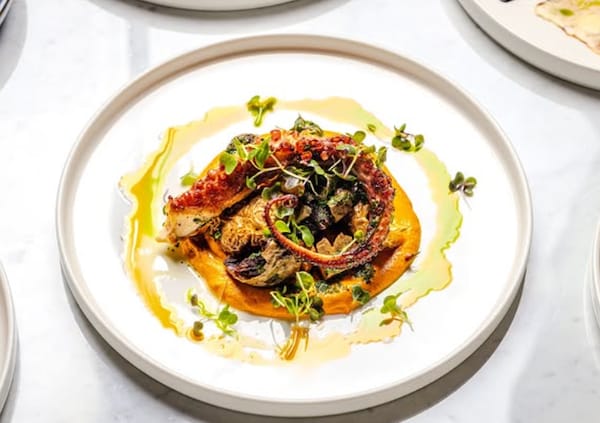 food, tableware, ingredient, dishware, cooking, plate
