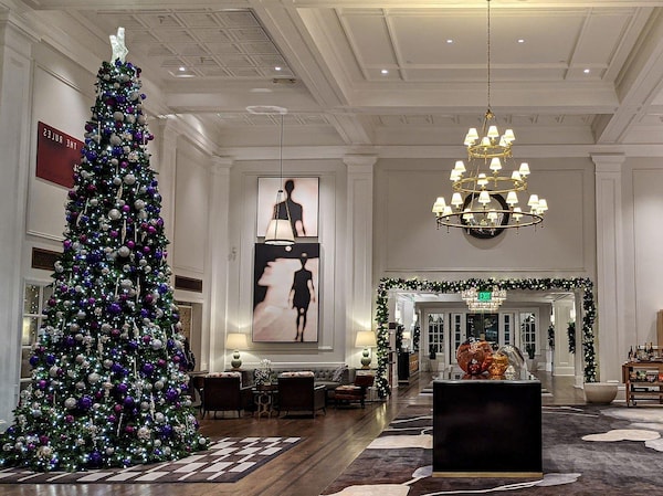 christmas tree, lighting, decoration, ornament, plant, door