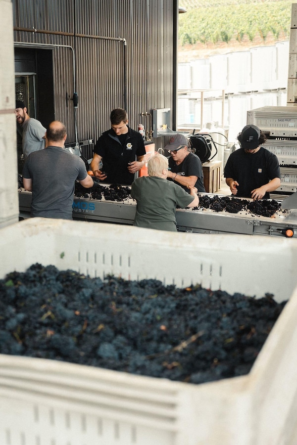 winery