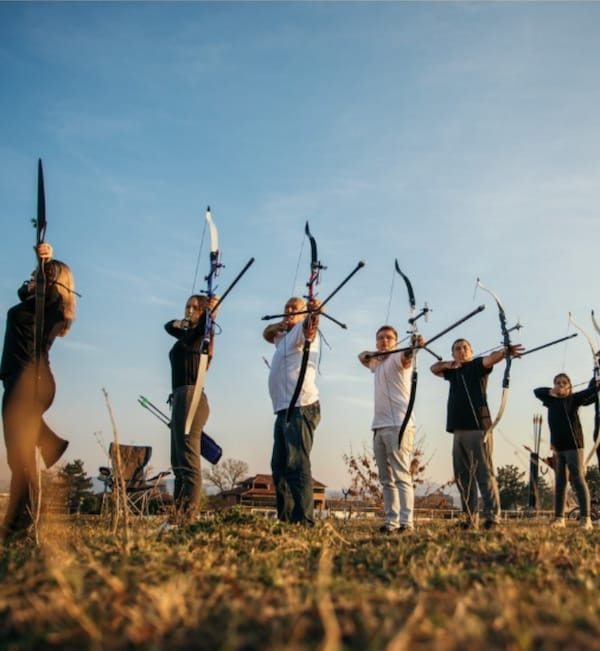 bow, bow and arrow, archery, recreation, field archery, arrow