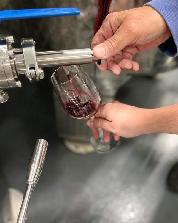 hand, liquid, test tube, drinkware, fluid, solution