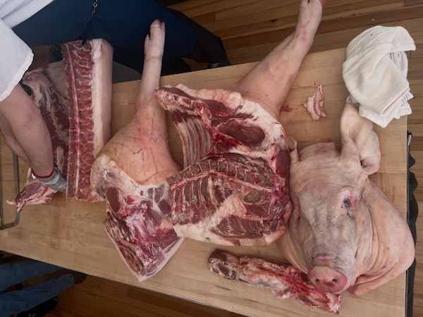 meat, suidae, food, flesh, butcher, pork