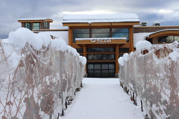 winter, property, freezing, snow, slope, hill station