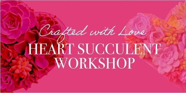 red, text, pink, petal, font, graphics