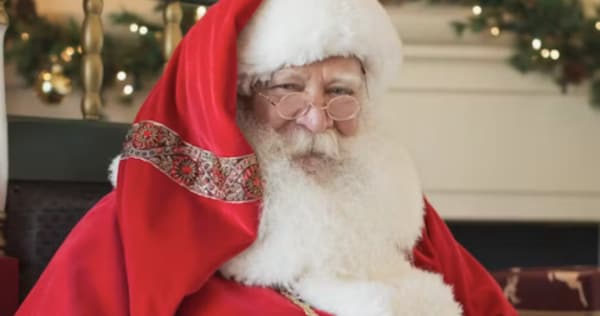 facial hair, beard, glasses, head, santa claus, moustache