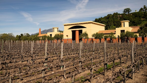 plantation, agriculture, winery