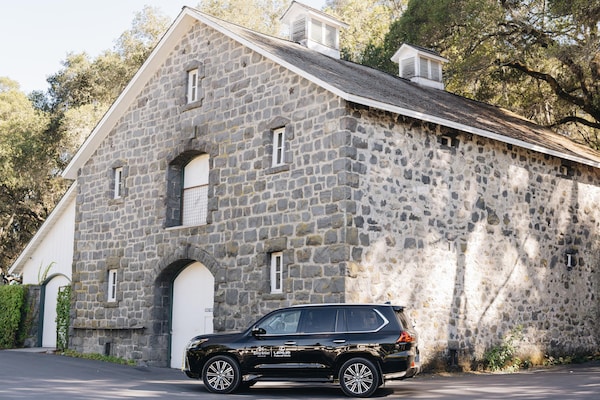 wheel, tire, car, plant, building, property