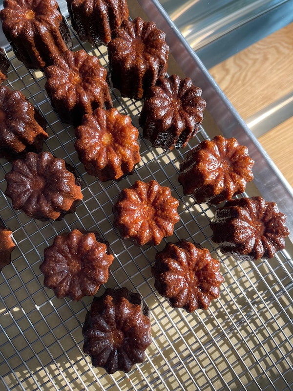 food, flower, plant, ingredient, recipe, cuisine