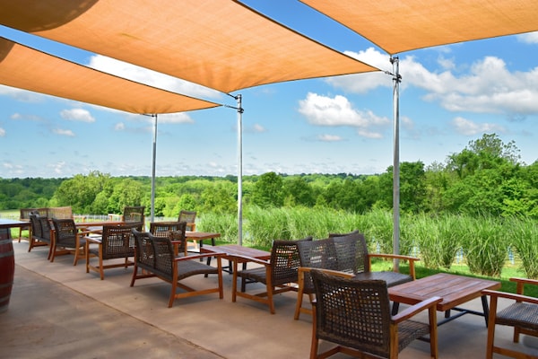 sky, table, plant, property, furniture, cloud