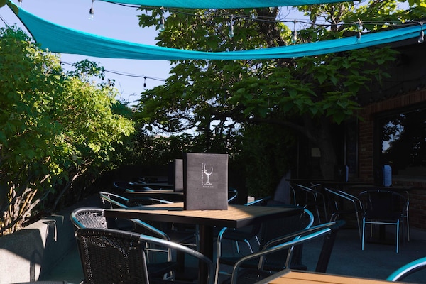furniture, table, nature, plant, shade, chair