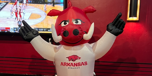 mascot, logo, costume