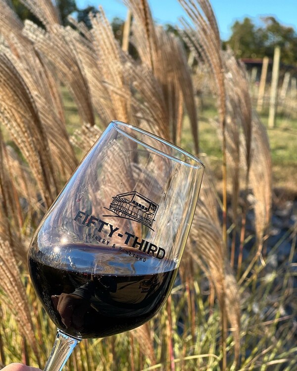 drinkware, plant, stemware, wine, wine glass, barware