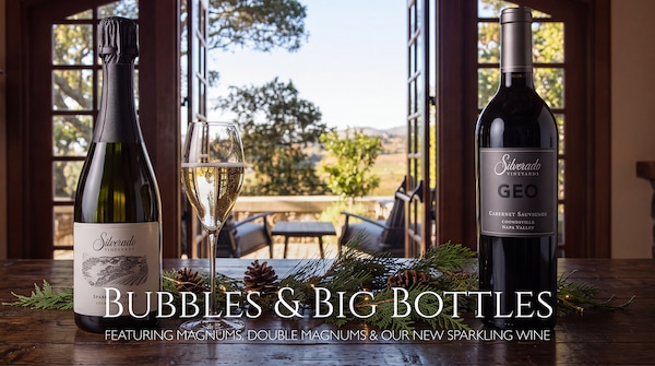 bottle, alcoholic drink, glass bottle, wine bottle, wine, liquor